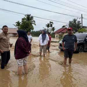 Ketua TP PKK Aceh Marlina Muzakir tinjau banjir