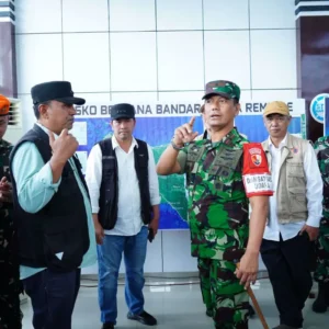 Danlanud Soewondo Kolonel Pnb Tiopan Hutapea