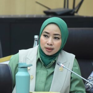 Anggota Komisi XII DPR RI Ratna Juwita Sari