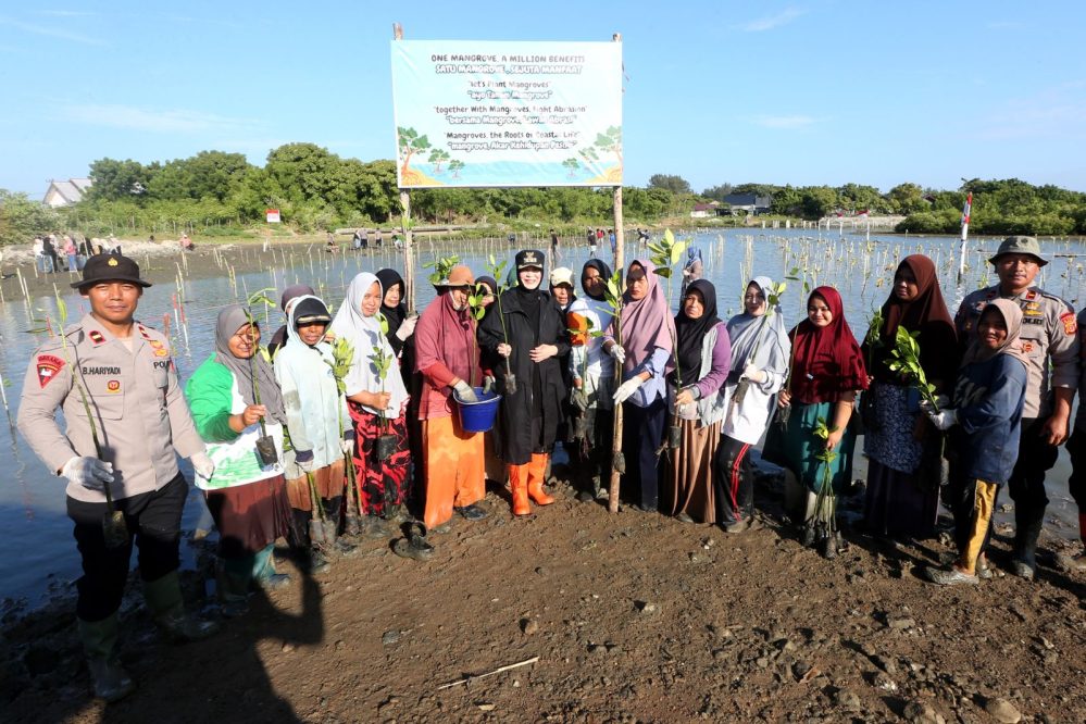 Penanaman mangrove di Alue Naga