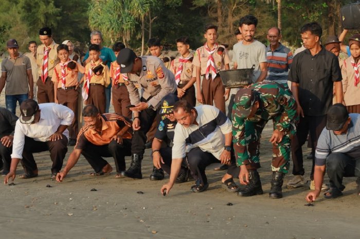 Seremonial pelepasan tukik penyu