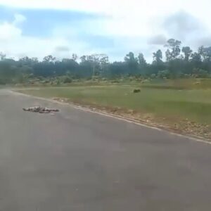 Diduga korban penembakan