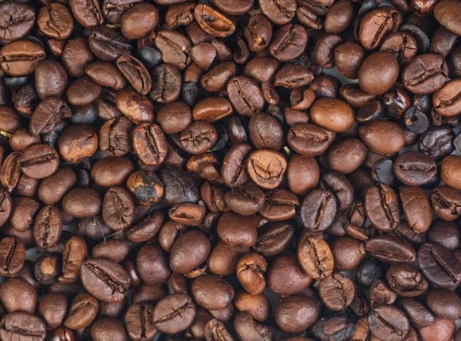 Ilustrasi biji kopi