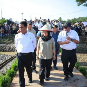 Mentan tinjau sawah di Muara Batu