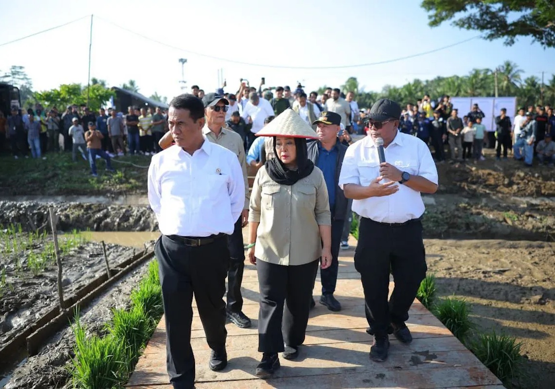 Mentan tinjau sawah di Muara Batu
