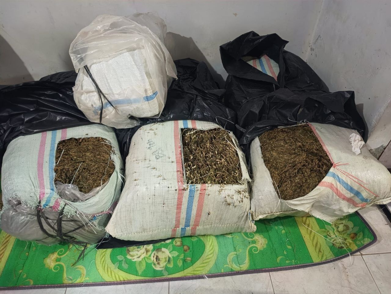 Polda Aceh amankan BB ganja