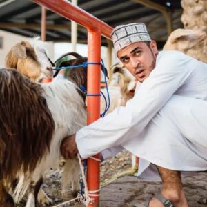 Ilustrasi kambing kurban