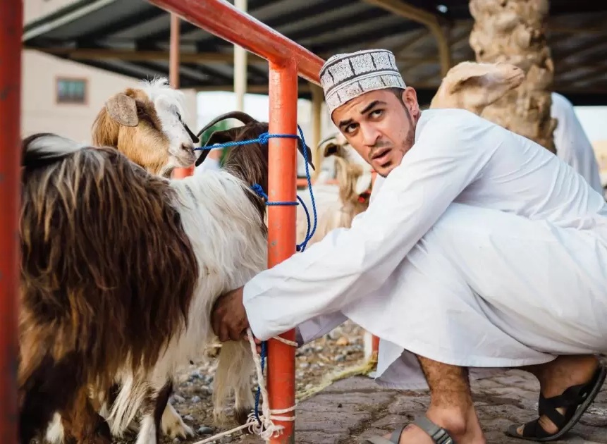 Ilustrasi kambing kurban
