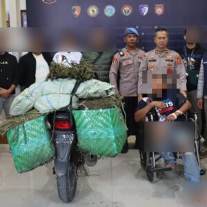 Polres Aceh Tengah amankan tersangka ganja