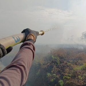 Petugas Damkar memadamkan kebakaran hutan dan lahan Karhutla di Aceh Barat menggunakan selang air.