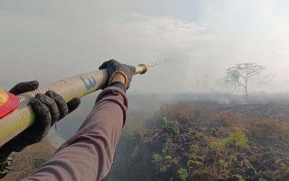 Petugas Damkar memadamkan kebakaran hutan dan lahan Karhutla di Aceh Barat menggunakan selang air.