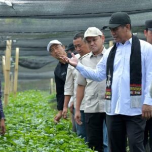 Mentan Amran tinjau benih kopi arabika di Pintu Rime Gayo