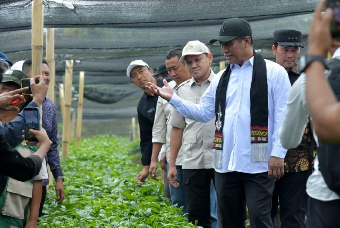 Mentan Amran tinjau benih kopi arabika di Pintu Rime Gayo