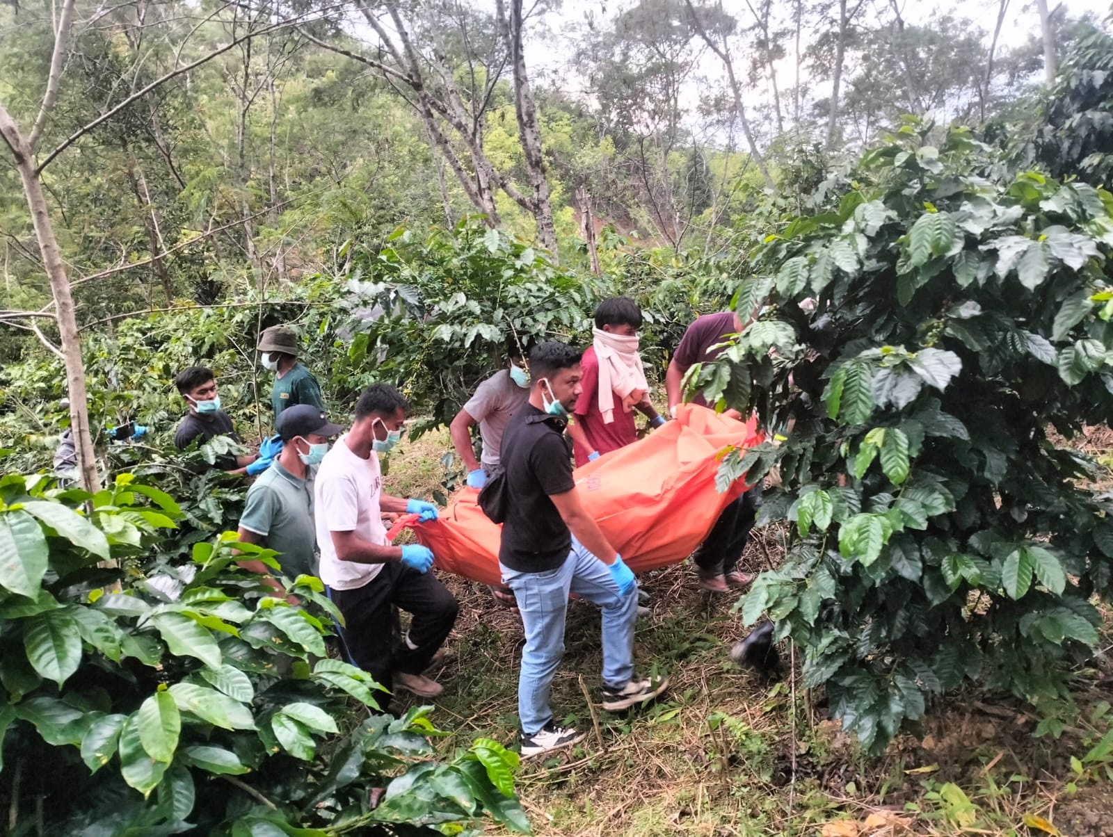 Evakuasi jasad Nasruddin di kebun kopi