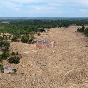Gelondongan kayu Desa Geudumbak