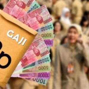 Ilustrasi gaji ASN daerah
