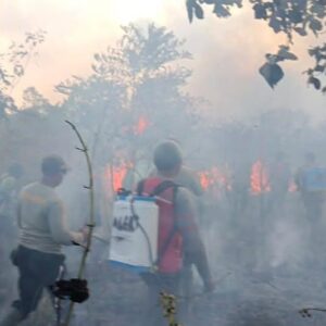 Karhutla Lampung Timur