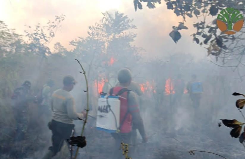 Karhutla Lampung Timur