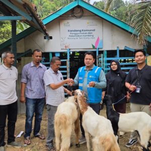 PLN NP UP Arun bantu pengembiakan kambing Ujong Pacu