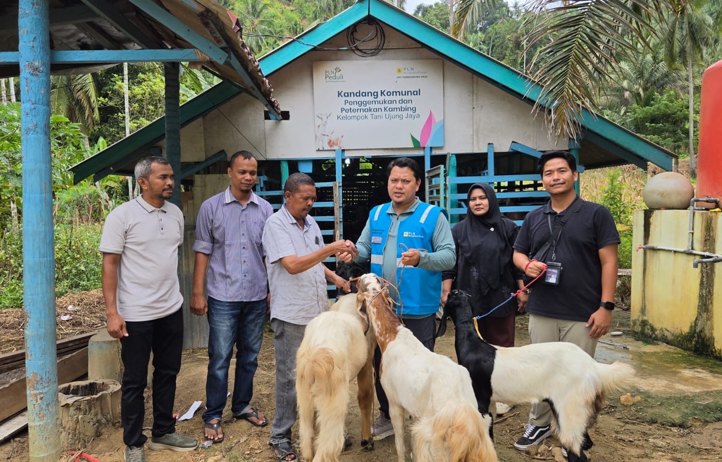 PLN NP UP Arun bantu pengembiakan kambing Ujong Pacu