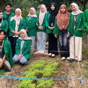 mahasiswa KKN Unimal bedeng sayuran