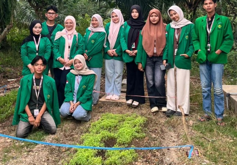 mahasiswa KKN Unimal bedeng sayuran