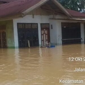 Banjir di Rongoh Tamiang Hulu Aceh Tamiang
