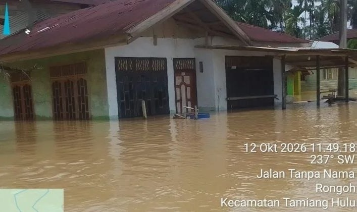 Banjir di Rongoh Tamiang Hulu Aceh Tamiang