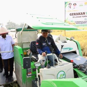 Gubernur Aceh Muzakir Manaf Mualem memakai caping saat ikut memanen padi dengan mesin di Aceh Tamiang