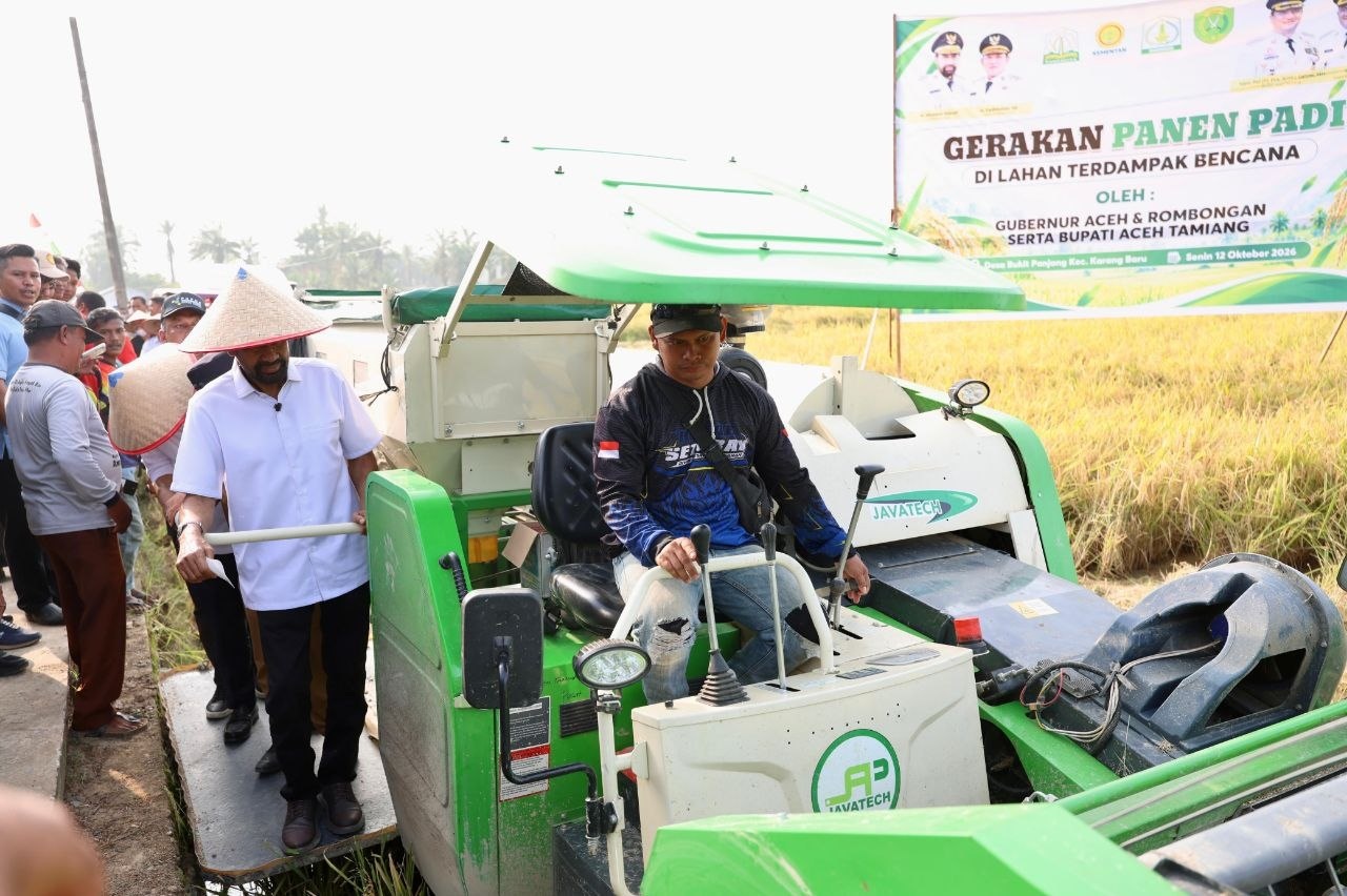 Gubernur Aceh Muzakir Manaf Mualem memakai caping saat ikut memanen padi dengan mesin di Aceh Tamiang